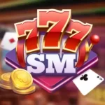 777SM Logo